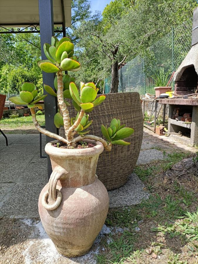 דירות קסטלנואובו מגרה Locazione Turistica La Gesualda מראה חיצוני תמונה